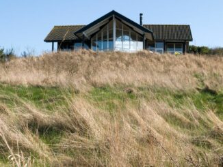 Ferienhaus in den Dünen direkt am Meer in Dänemark